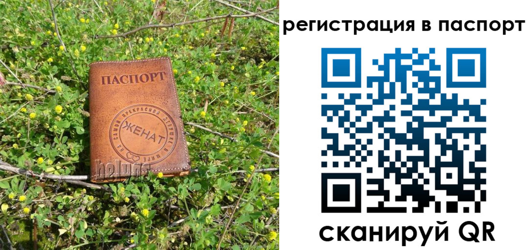 прописка законно в Салавате